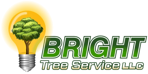 Bright Tree Service LLC